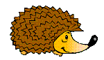 Igel2